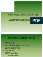 CITES-Vuong Tien Manh