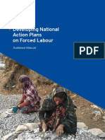 Guidance Manual National Action Plan