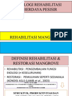 Rehabilitasi Mangrove