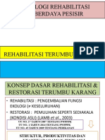 Rehabilitasi Terumbu Karang