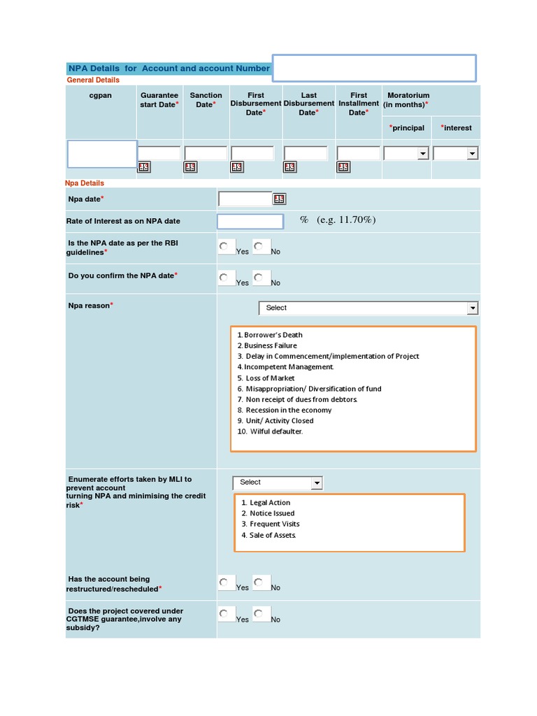 NPA Account Details and CGPAN Format | PDF | Finance & Money Management