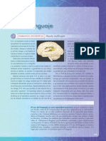Neuropsicología Humana 7a. Edición (Bryan Kolb)