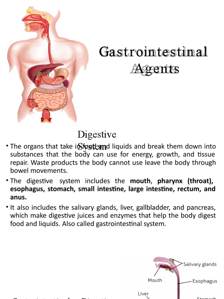 Gastrointestinal Agent PDF