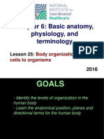 Chapter 6: Basic Anatomy, Physiology, and Terminology: Lesson 25