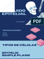 Tejido Epitelial