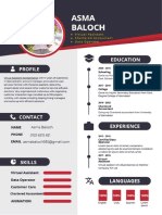 Sample CV Professional