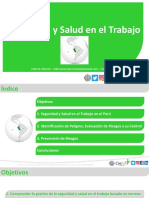 001 - SST en Perú, Identificación de Peligros, Evaluación de Riesgos y Su Control, Prevención de Riesgos - Fabio M. Monzón