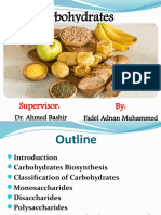 Carbohydrate Cell Biology Presentation