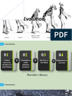 Unit 4 Evolution