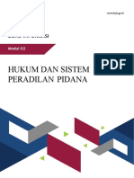 Modul Hukum Dan Sistem Peradilan Pidana WS APIP