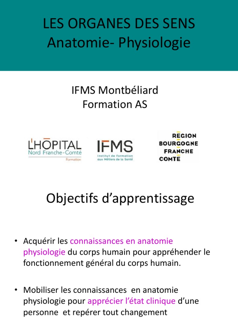 Anatomie des organes des sens | PDF | Développement personnel | Bien-être