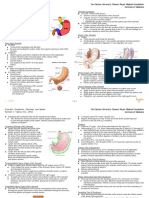 Stomach, Duodenum, Pancreas, and Spleen Anatomy