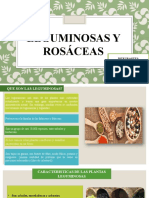 Leguminosas y Rosaceas