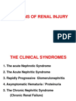 Patterns of Renal Injury