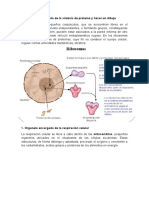 Taller de Biologia Ciclo 4 2014