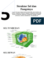 Struktur Sel Dan Fungsinya