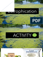 Eutrophication Estor Report