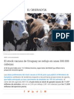 Stock vacuno de Uruguay se redujo en 300 mil cabezas