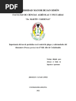 Trabajo Dirigido Jhoselin