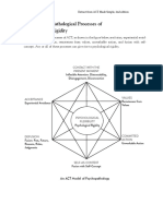 Unpacking Problems and Diagnoses - Core pathological processes in ACT 