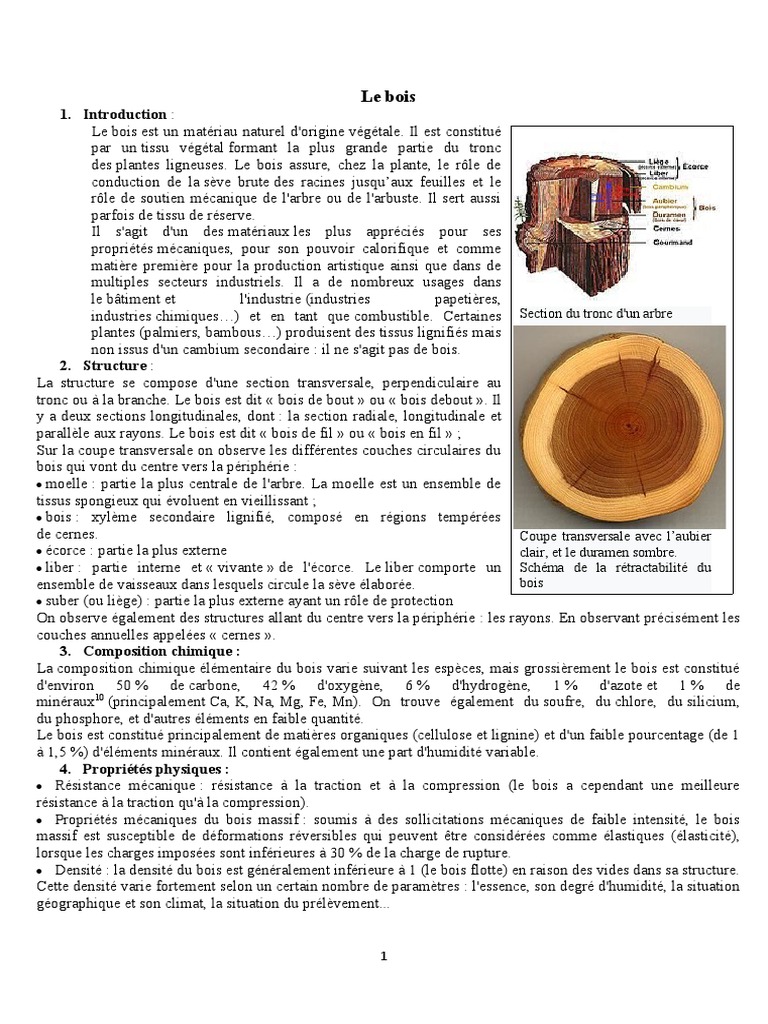 Composition chimique et structure du bois PDF Maison et jardin — free download