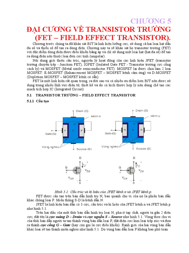Introduction Fet and Bias PDF