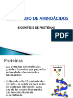 Biosíntesis de Proteínas