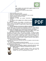 PDF Especialidad Felinos Compress (1)