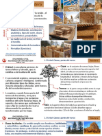 Sesión 13 Madera Versión 2022-2