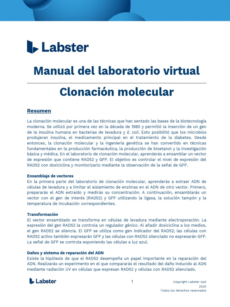 Teoría Clonación Molecular Labster PDF Adn Reacción en cadena
