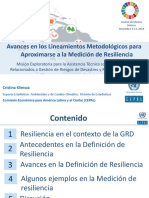 8 Lineamientos Medicion Resiliencia Cepal