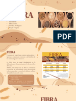 Fibra (Tipos y Características)