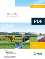 Brosch - Biogas 2013 en Web PDF