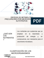 Síntesis de Metabolitos Precursores Por Microorganismos Autótrofos