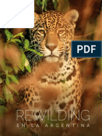 Rewilding en La Argentina 150