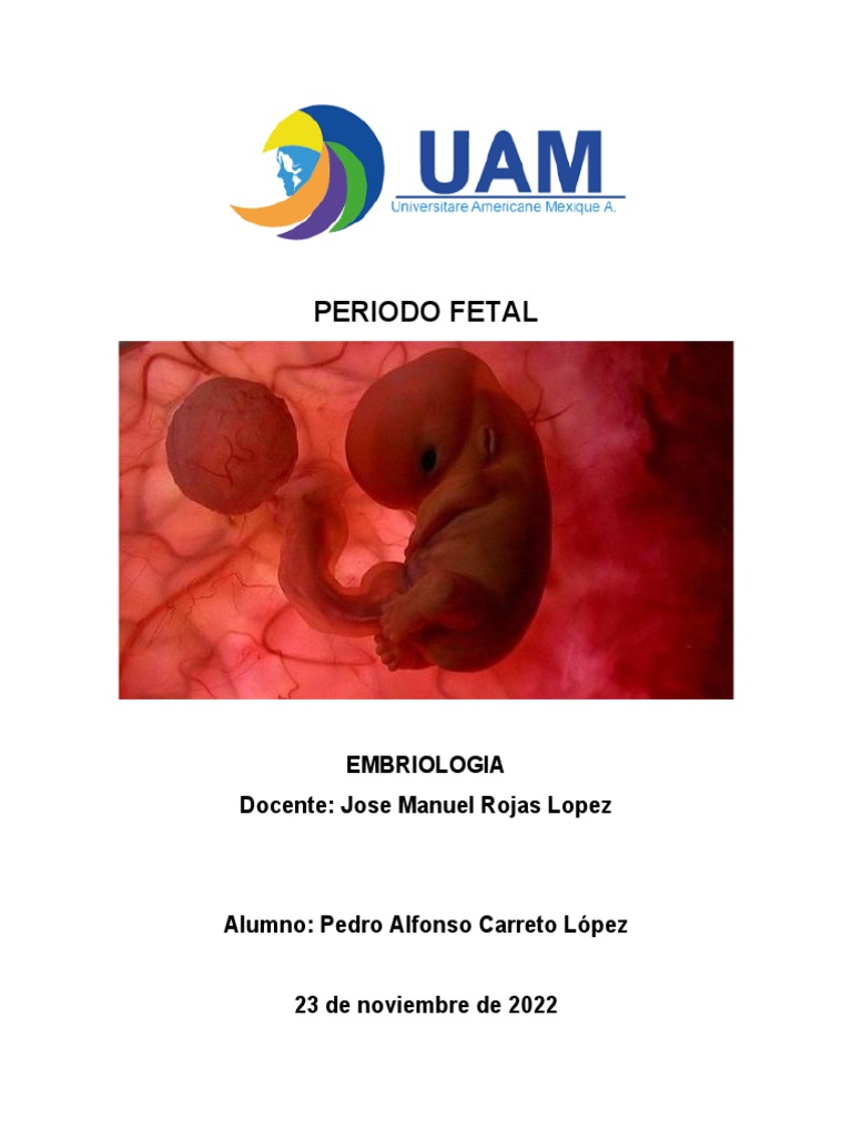 Desarrollo Fetal: Semana 9 al Nacimiento | PDF | El embarazo | Feto