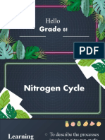 Nitrogen Ramos