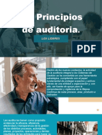 3.1 Principios de Auditoria.