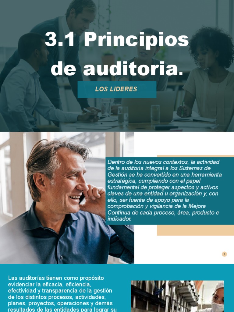 3 1 Principios De Auditoria Pdf Auditoría Business