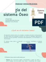 Fisiologia Del Sistema Oseo-Carolina Ricardez