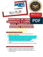 APE de Derecho Ambiental y Conflictos Socio Ambientales - Segundo Bimestre - Unificado - MESD