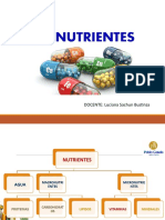 Clase 3 Micronutrientes