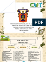 Mapa Conceptual Agroecologiaa