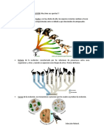 06. Materias de la evolución