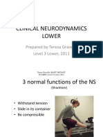Clinical Neurodynamics Level 3 Lower 2011