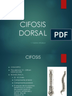 Cifosis Estd