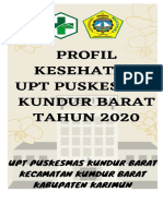 Profil Upt PKM Kuba 2020 Edit 2