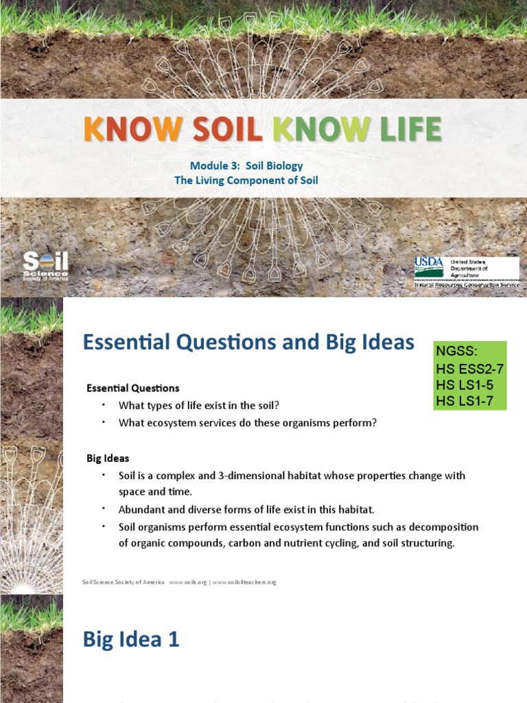Module 3 Soil Biology | PDF | Science & Mathematics