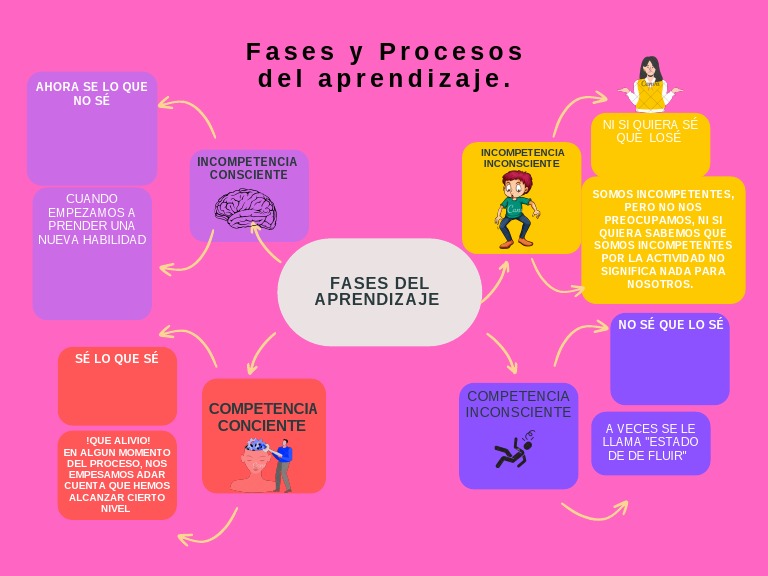 Las cuatro fases del aprendizaje: desde la incompetencia inconsciente ...