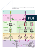 Wine_Making_Diagram